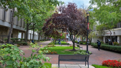 CLJ Walkway
